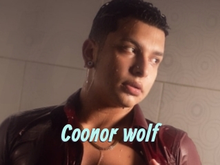 Coonor_wolf