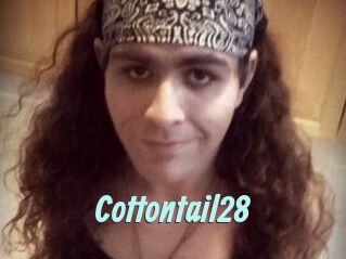 Cottontail28