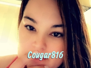 Cougar816