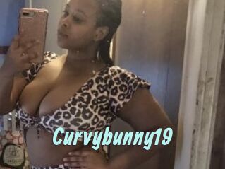 Curvybunny19