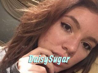 Daisy_Sugar
