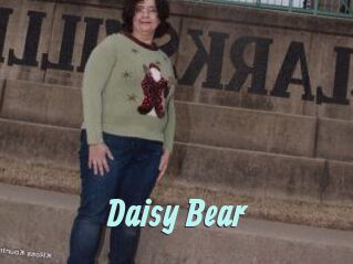Daisy_Bear