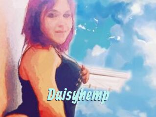 Daisy_hemp