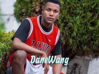 DaneWang