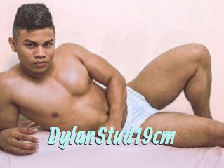 DylanStud19cm