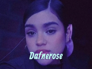 Dafnerose