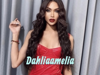 Dahliaamelia