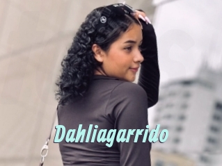 Dahliagarrido