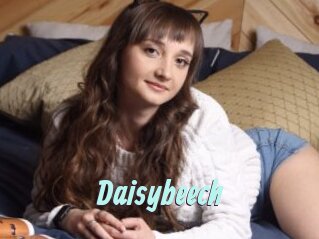 Daisybeech