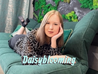 Daisyblooming