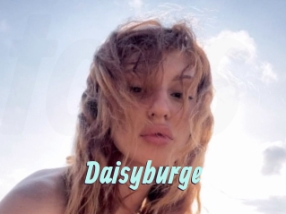 Daisyburge