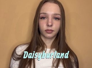 Daisyburland