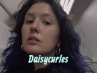 Daisycurles