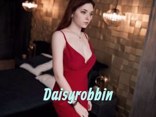 Daisyrobbin