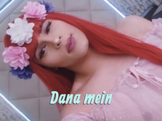 Dana_mein