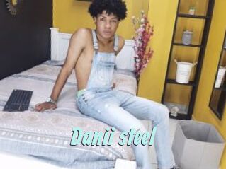 Danii_steel