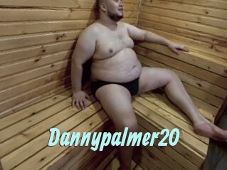Dannypalmer20