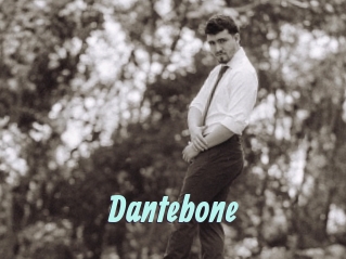 dantebone Ton Show