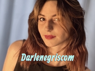 Darlenegriscom