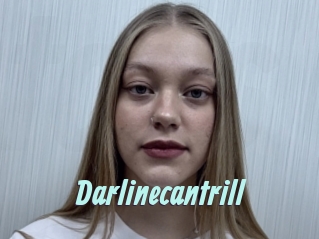 Darlinecantrill