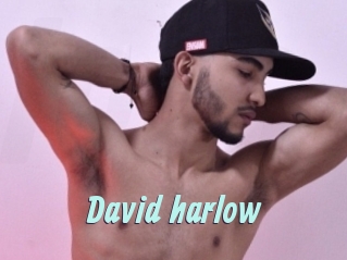 David_harlow