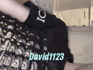 David1123