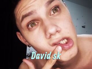 David_sk