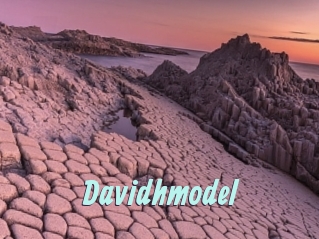 Davidhmodel