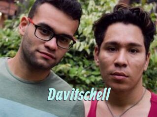 Davitschell