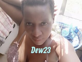 Dew23