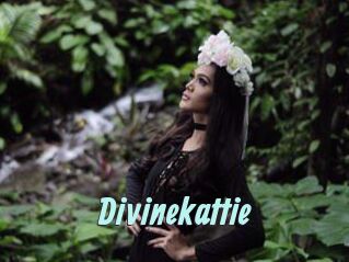 Divinekattie