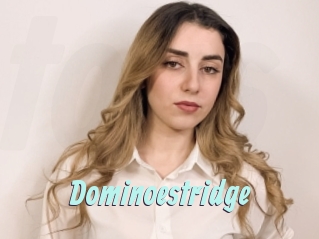 Dominoestridge