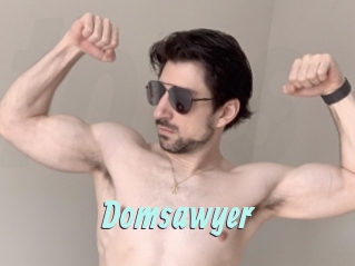 Domsawyer