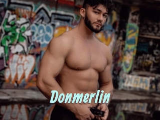 Donmerlin