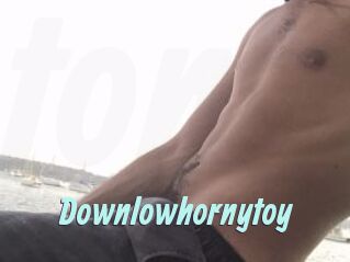 Downlowhornytoy