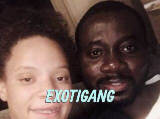 EXOTIGANG