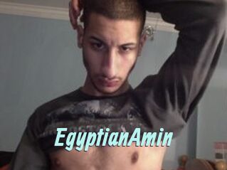 EgyptianAmin