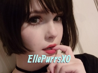 EllePurrsXO
