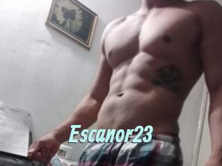 Escanor23
