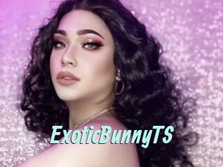 ExoticBunnyTS