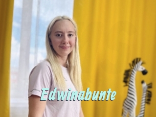 Edwinabunte