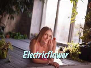 Electricflower