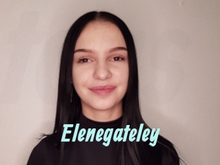 Elenegateley