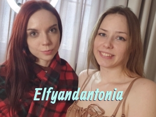 Elfyandantonia