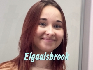 Elgaalsbrook