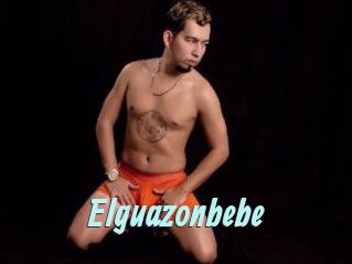 Elguazonbebe