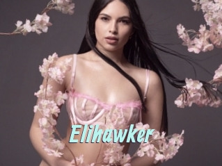 Elihawker