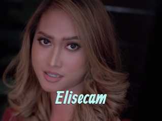 Elisecam
