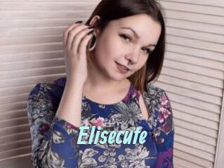 Elisecute