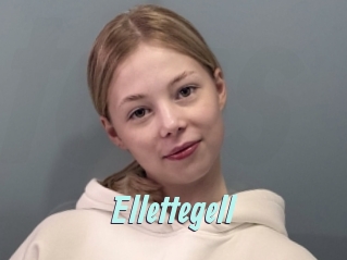 Ellettegell